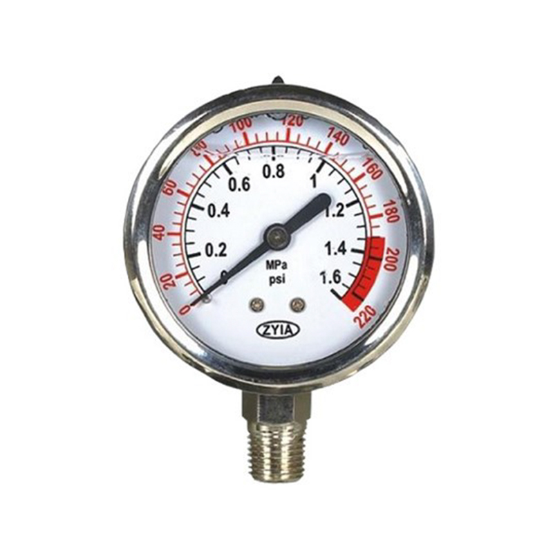 YTN-Series Gas Pressure Gauge